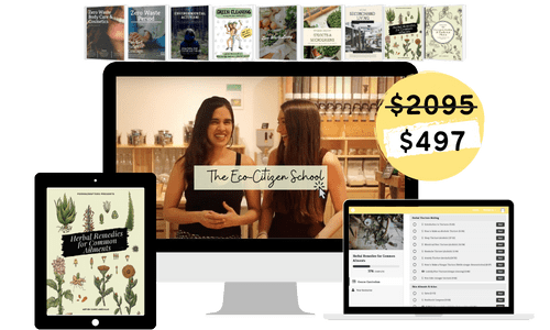 MOCK-UP The Eco-Citizen School
