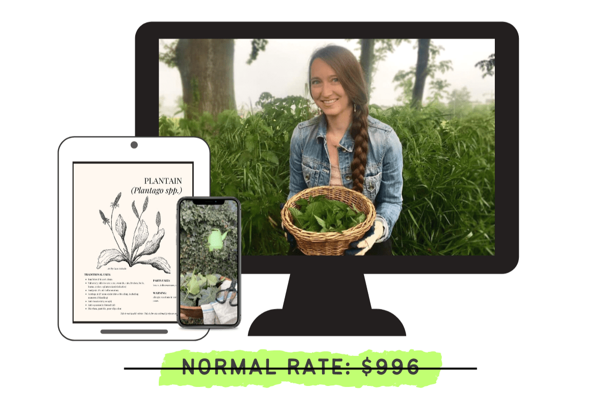 Normal Rate $996